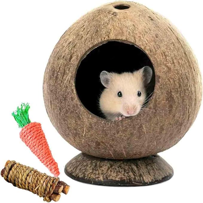 Coconut Hamster Hideout Hamster House Gerbil Cage for Small Animals with a Bundle of Apple Sticks a Carrot (Yellow)