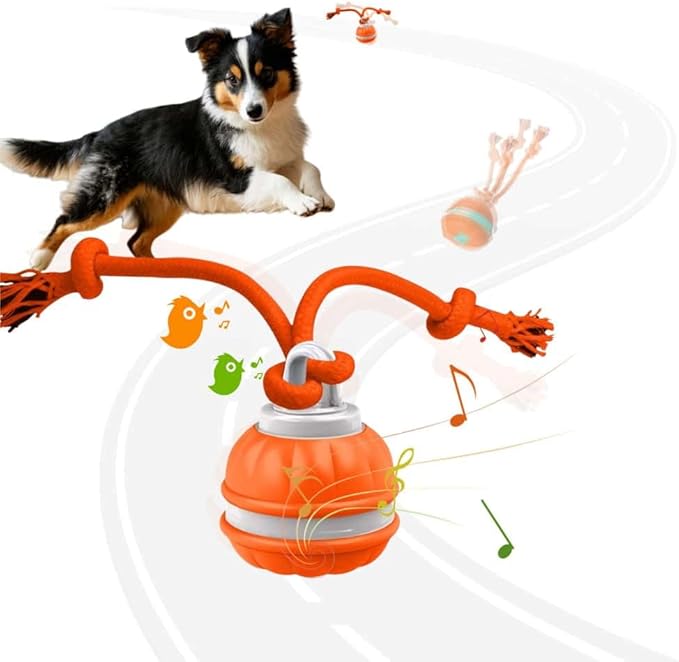 Interactive Dog Toys, Squeaky Dog Toys, Active Rolling Ball for Puppy and Medium Dogs, Squeaky, USB Rechargeable (Orange)