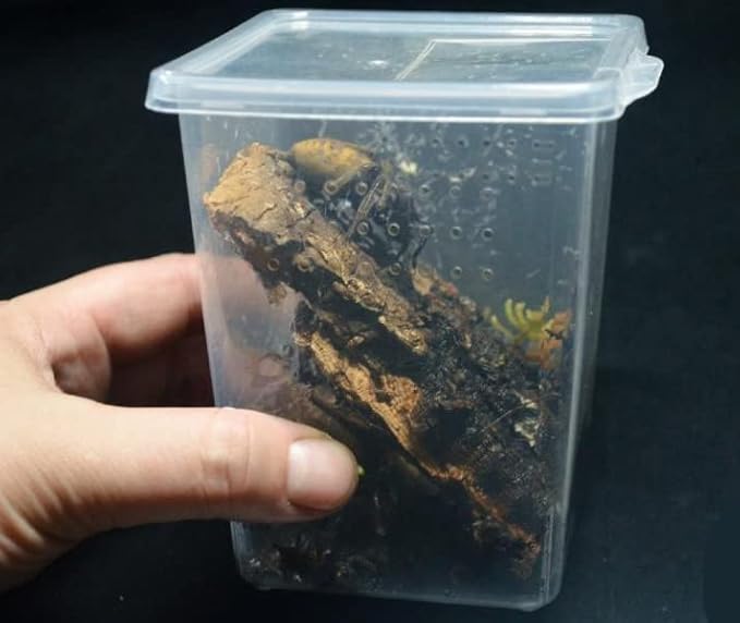 Small Reptile breeding Box Spider Terrarium freeding Box for arboreal Tarantula Scorpion Sling Lizards Mantis Jumping Spider Snail Insect Isopods Terrariums Breeding Box (4high+4small)