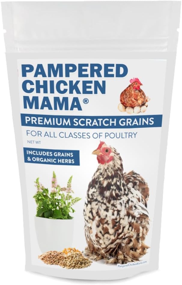 Pampered Chicken Mama Chick Feed - Premium Chicken Scratch Treat - High Protein & Calcium Grower Feed for Laying Hens (10 lbs)
