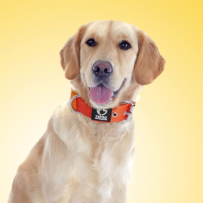 TSPRO Tactical Dog Collar 1.5 Inch Wide Thick Dog Collars with Heavy Duty Metal Buckle, Durable, Strong, Adjustable for Medium to Large Dogs (Orange M)