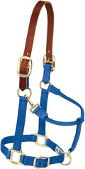 Weaver Equine Breakaway Horse Halter, Supple Leather Crown, Adjustable Chin & Throat Snap Halters for Horses, Equine Tack