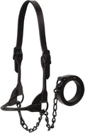Weaver Livestock Leather Magic Show Cattle Halter, Adjustable, Modern Style Cow Calf Halter, Livestock Handling Equipment for Showing, Black