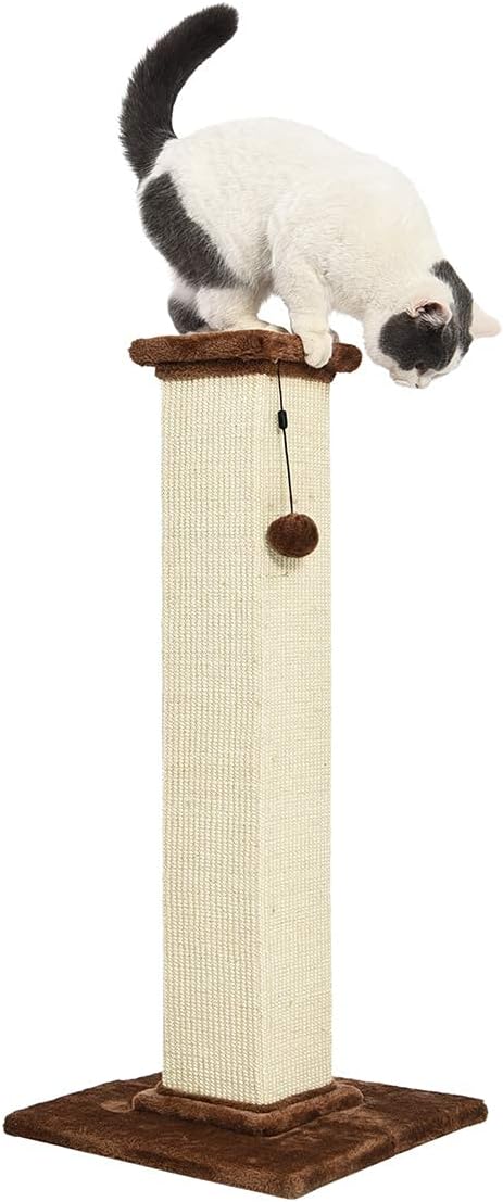 Amazon Basics Cat Scratcher - Indoor Classic Single Cat & Kittens Scratching Post with Sisal Rope, Jute Fiber, Large (35.4"H) - Brown