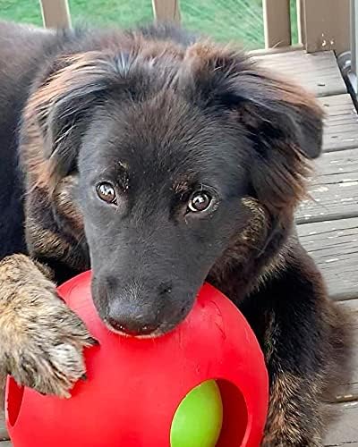 Jolly Pets Teaser Ball Dog Toy, Large/8 Inches, Red