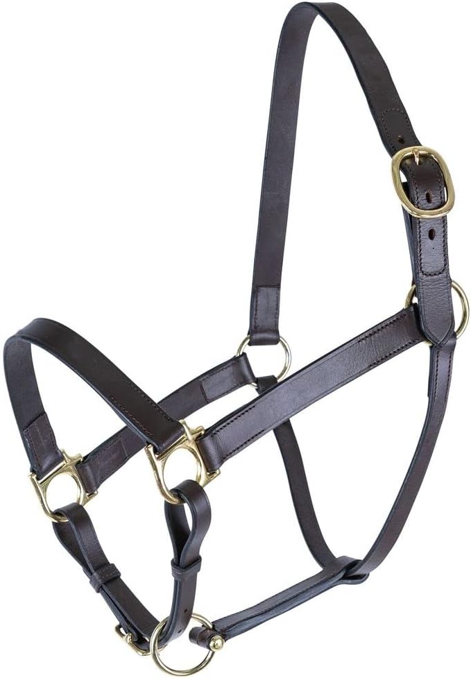 Schneiders Premier Lancaster Fixed Throat Leather Halter for Horses | 1" Single-Ply Leather | Lightweight Everyday Design | Brass Hardware