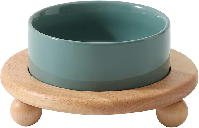Ceramic Elevated Cat Food and Water Bowl, Kitty Bowl, Raised Cat Dish, Pet Feeder (5.1 in,1 x Dark Green + Stand)