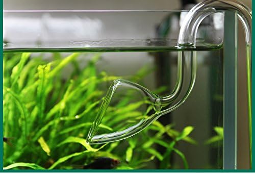 Glass Lily Pipe Outflow for Aquarium Planted Tank (17mm for 16/22mm (5/8" ID) tubing)