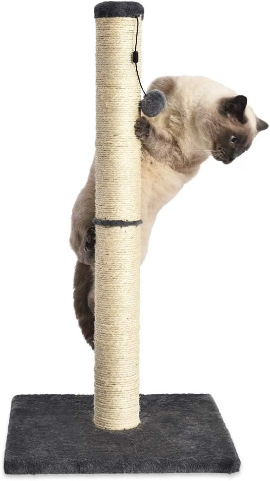 Amazon Basics Cat Scratcher - Indoor Classic Single Cat & Kittens Scratching Post, Medium (31.5"H) - Grey