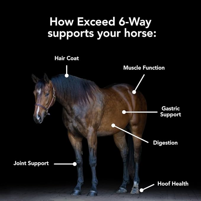 MVP Exceed 6-Way (16lb) High Level Performance Horse Support Pellets. Joint, hoof, Hair, gastric, Digestion and Muscle Support.