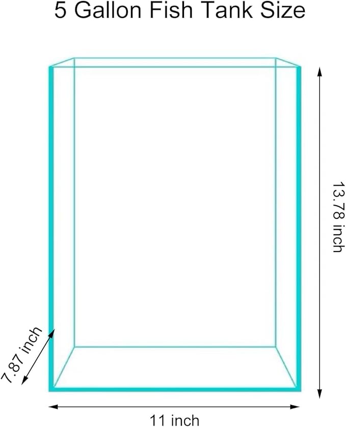 5 Gallon Glass Fish Tank, Easy to Maintain Small Aquarium for Betta/Snails/Shrimp and Aquatic Planting.