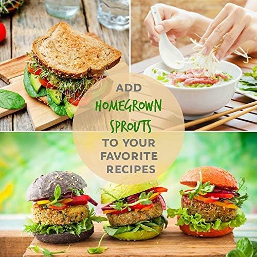 Handy Pantry Organic Birdseed - 1 Lb - Sprouting Bird Seed Mix for Small, Medium & Large Birds- Feed for Songbirds, Parakeets, Parrots, etc