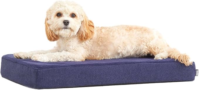 Barkbox Orthopedic Dog Bed | Comfortable Memory Foam Mattress for Joint Relief | Head and Neck Support Waterproof with Non Skid Bottom | Calming Durable Bed with Washable Cover | Small, Navy