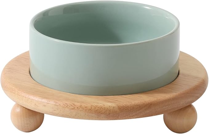 Ceramic Elevated Cat Food and Water Bowl, Kitty Bowl, Raised Cat Dish, Pet Feeder (5.1 in,1 x Light Green + Stand)