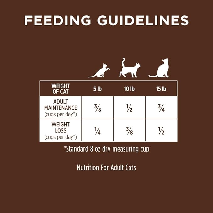Instinct Ultimate Protein Grain Free Cage Free Chicken Recipe Natural Dry Cat Food, 10 lb. Bag