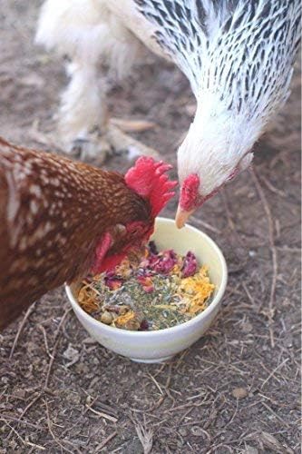 Pampered Chicken Mama Best Eggs Ever! Nesting Herbs for Chickens (4 Pounds) Calcium Supplement for Chickens | Chicken Feed Supplies, Hen Treats for Coops