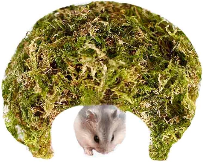 Coconut Hamster Hideout Hamster House Gerbil Cage for Small Animals with a Bundle of Apple Sticks a Carrot (Green)