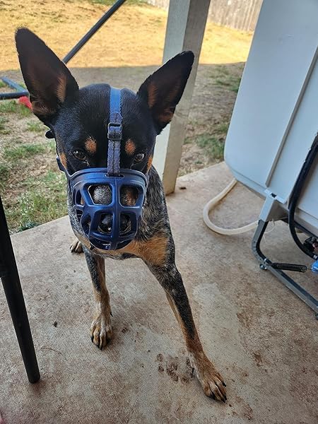 Mayerzon Dog Muzzle, Breathable Basket Muzzles for Small, Medium, Large and X-Large Aggressive Dogs Beagle German Shepherd Doberman, Cage Mouth Guard Stop Biting Chewing for Grooming Training