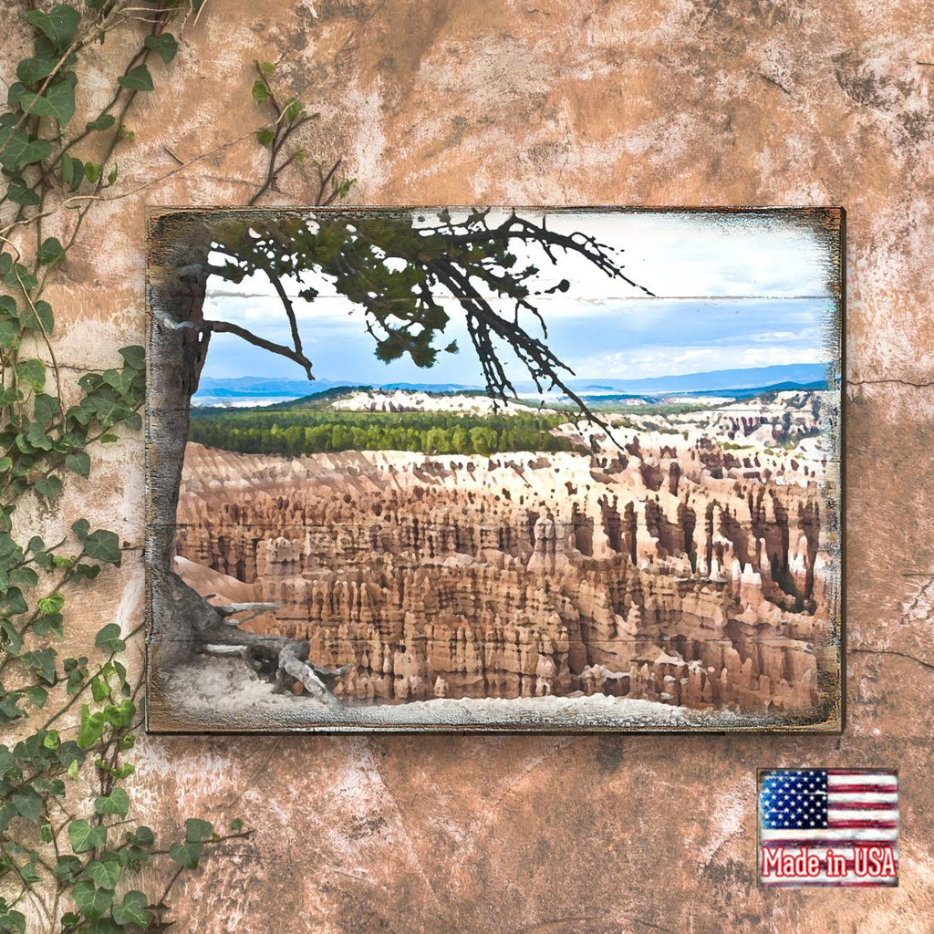 Canyon Tree View Art Wooden Wall Art by Nature Wonders - Nature Wildlife Decor  - 95281B