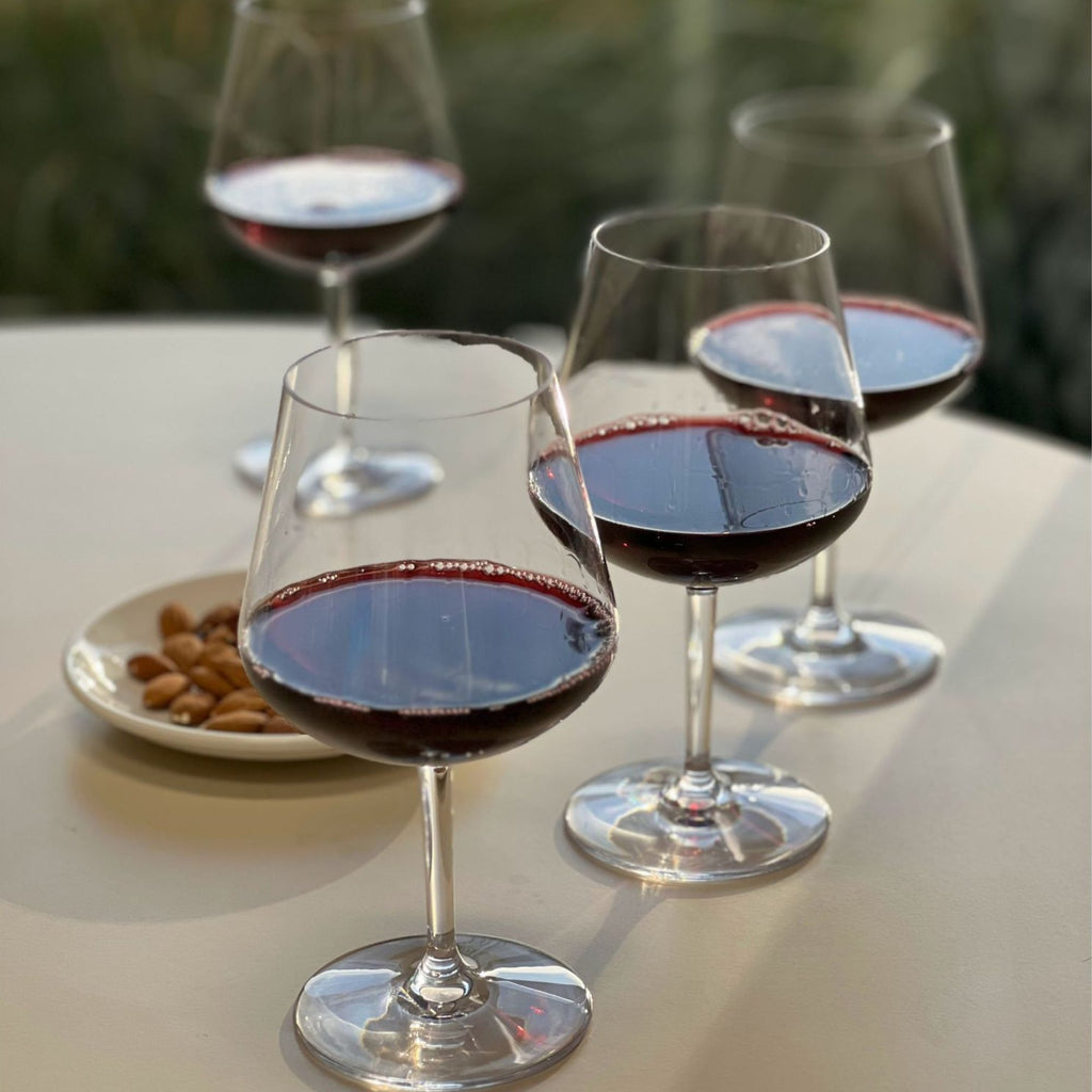Lexington Tritan - Plastic Wine Glasses (Set of 4), Unbreakable, Bpa Free, 20Oz - Clear
