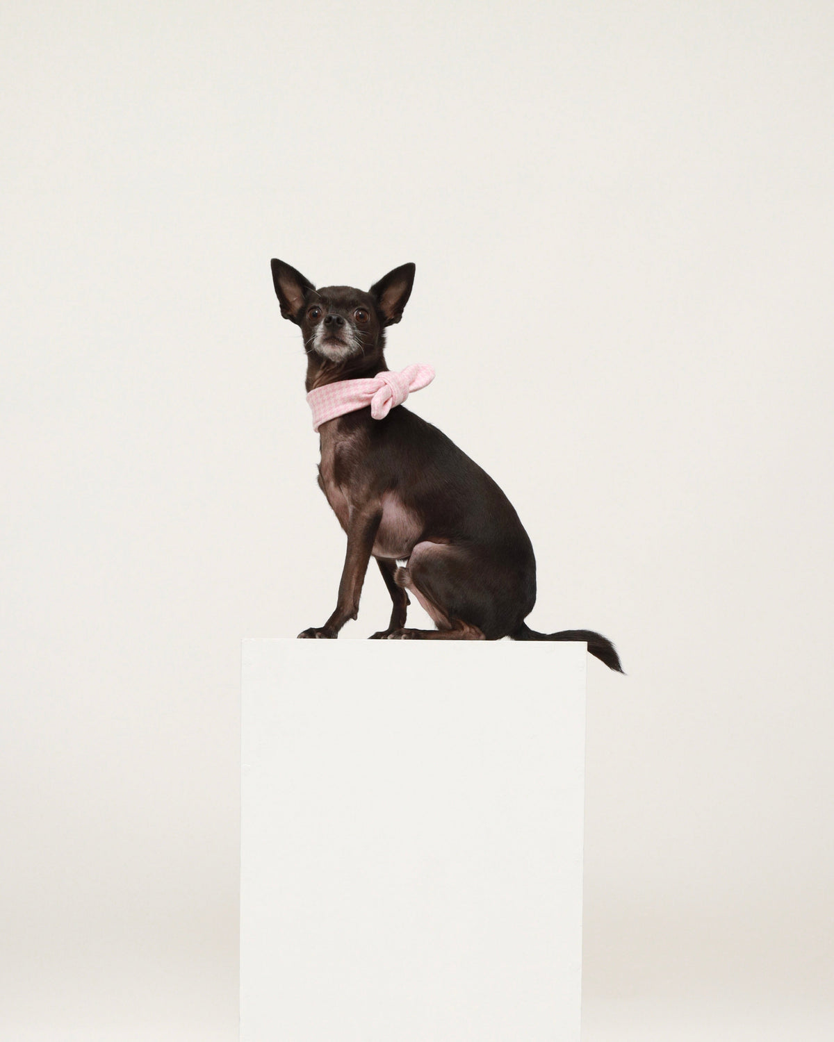 Pink Cotton Scarf
