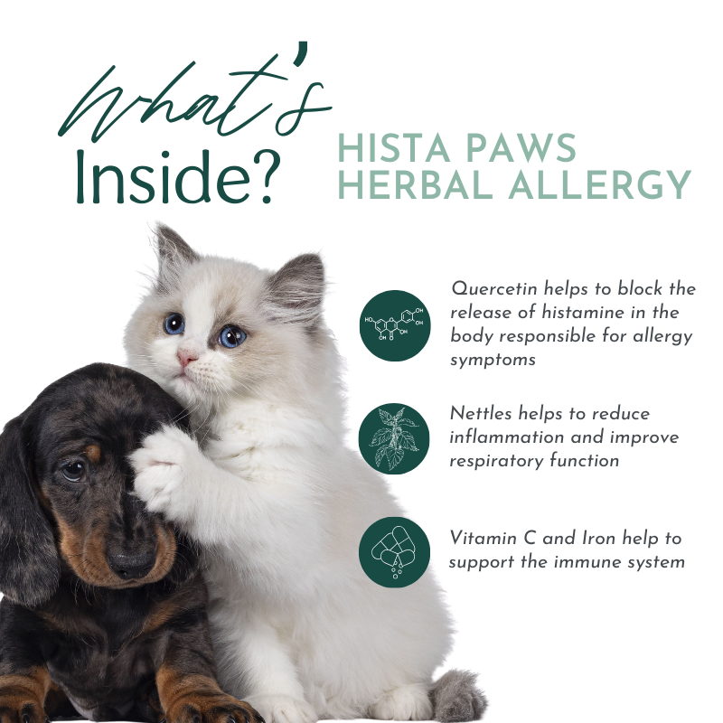 PRE-ORDER Hista Paws with Quercetin for Dogs and Cats