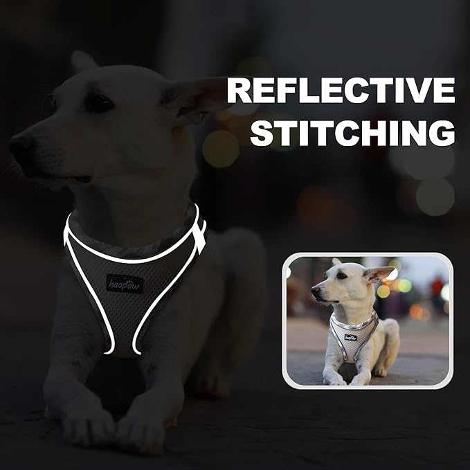 haapaw Dog Harness with Leash Set, No Pull Adjustable Reflective Step-in Puppy Harness with Thickened Padded Vest for Extra-Small/Small Medium Dogs