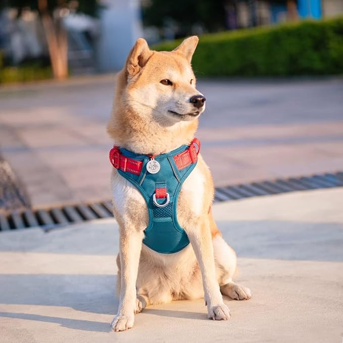 PHOEPET No Pull Dog Harness, Unique Colors Reflective Adjustable Dog Vest, with Soft Training Handle Metal Clips for Small Medium Large Dogs (Teal Base & Red Straps,M)