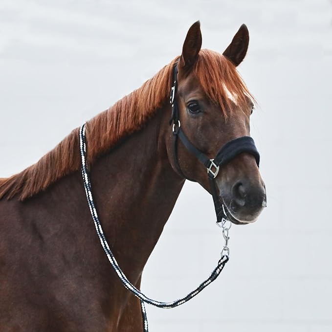 HORZE Kiel Adjustable Horse Halter with Fleece Padding - Black - Horse