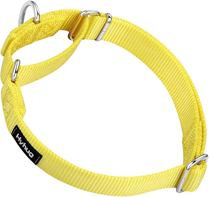 Hyhug Pets Premium Upgraded Heavy Duty Nylon Anti-Escape Medium Martingale Collar for Boy and Girl Dogs Comfy and Safe - Professional Training, Daily Use Walking. (Medium, Illuminating Yellow)