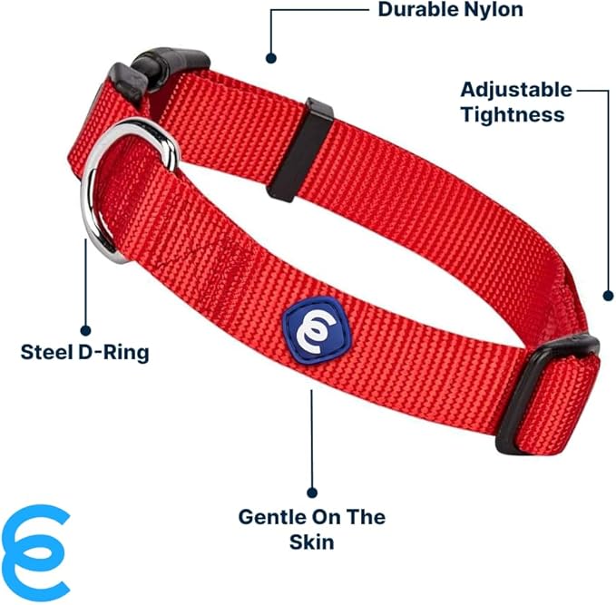Blueberry Pet Essentials Matching Large Dog Collar | Adjustable Classic Solid Color Nylon Dog Collars for Large Dogs | Rouge Red Dog Collar for Large Dogs