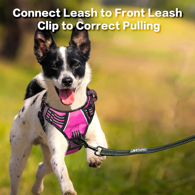 PoyPet No Pull Dog Harness, No Choke Front Clip Reflective Dog Vest with Soft Padded Vertical Handle, 3 Leash Attachments for Small Medium Large Dogs (Pink,XL)