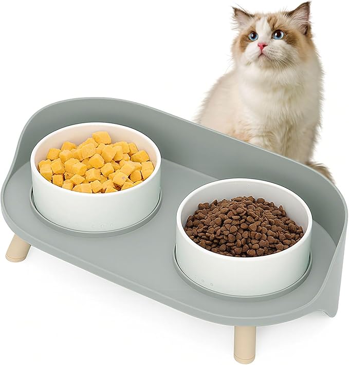 Elevated Dog Bowls Set, Ceramic Pet Food & Water Bowls with Non-Slip Stand, No Spill Design for Cats/Small Medium Dogs Gray