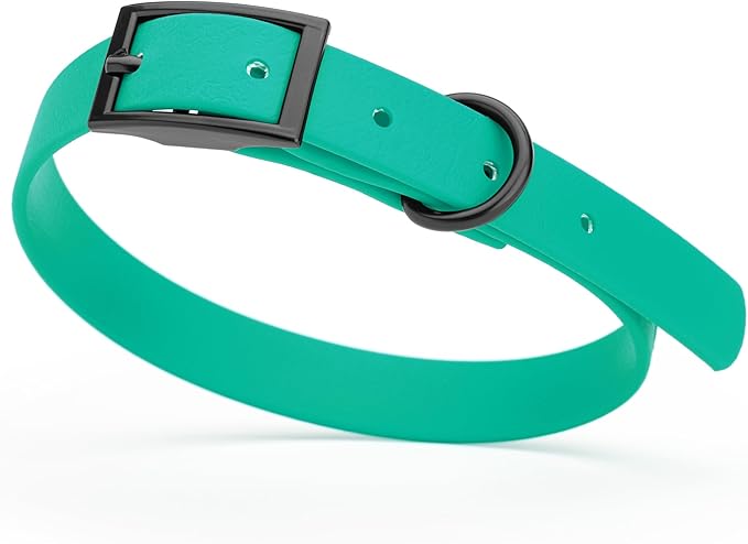 Dogline Biothane Waterproof Dog Collar Strong Coated Nylon Webbing with Black Hardware Odor- Proof for Easy Care Easy to Clean High Performance Fits Small Medium or Large Dogs, Teal