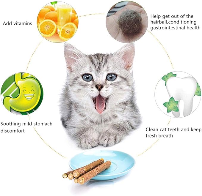 20 PCS Cat Catnip Sticks Natural Matatabi Silvervine Sticks - Cleaning Teeth Molar Tools Kitten Chew Toy Natural Catnip Cats Toy