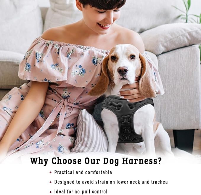 Comfort Fit No Pull Dog Harness for Medium Small Large Dogs Step-in Dog Vest Harness with Adjustable Buckle All Weather Comfortable Soft Padded Easy Control Handle Ideal for Walking Running Training