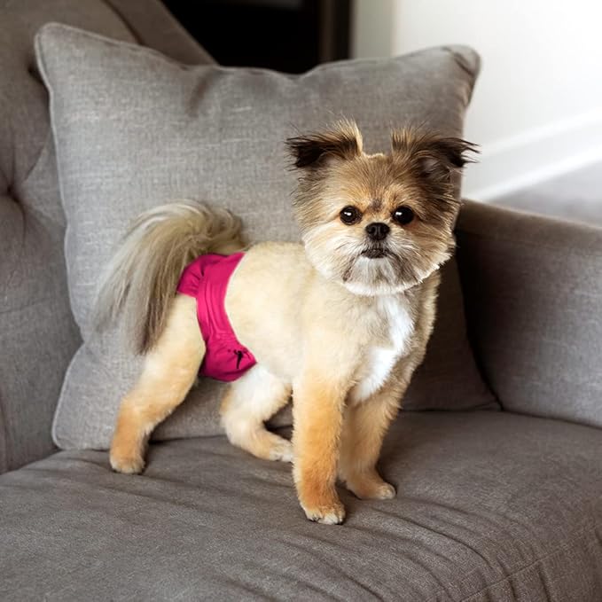 Pet Parents® Washable Dog Diapers (3pack) + Extendrs® of Durable Doggie Diapers, Premium Dog Diapers Female (Small, Princess)