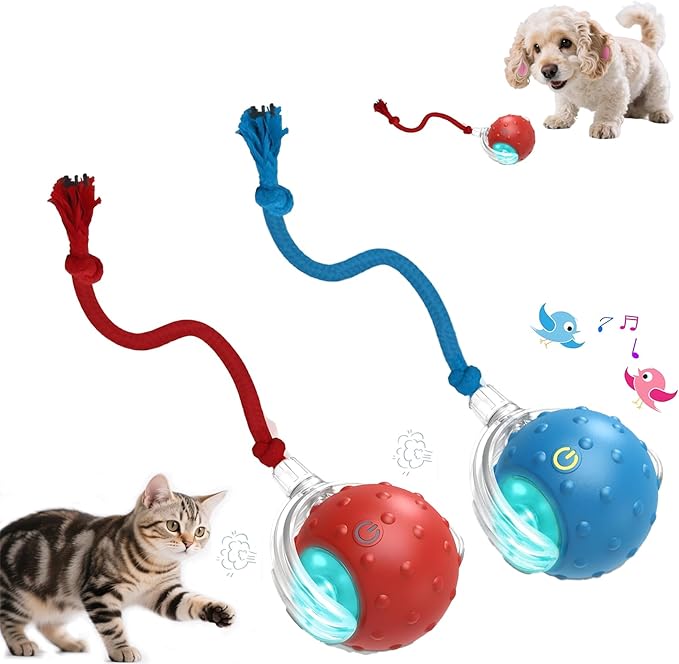 2-Pack Interactive Cat Toys Ball - 2025 New Gen with Smart Obstacle Avoidance,Bird Chirps & Auto Wake-Up,Includes 2 Speedy Tail 2.0 Ropes, Ideal Kitten Toys for Bored Indoor Cats (Red & Blue)
