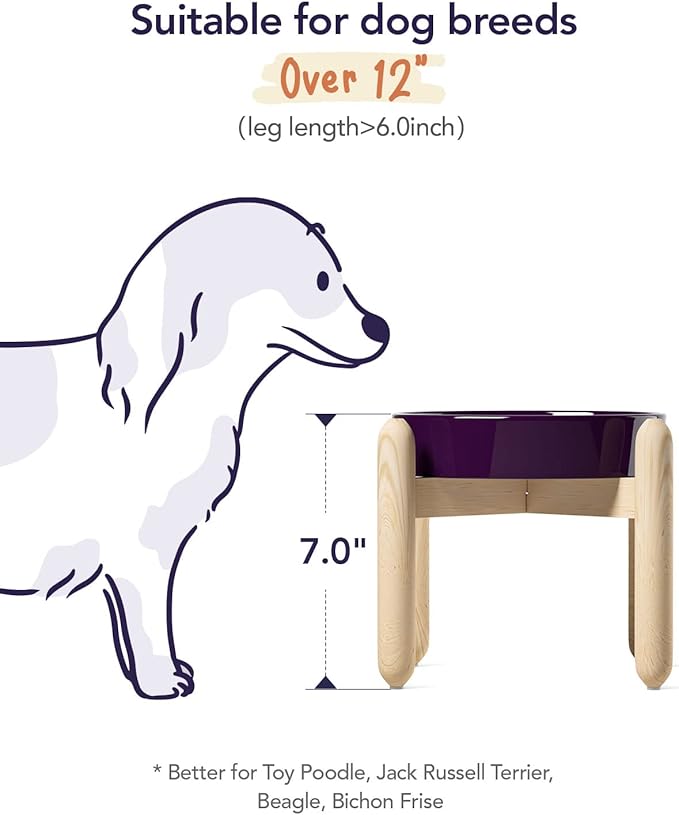 LE TAUCI Ceramic Slow Feed Dog Bowls, Elevated for Small and Medium Breed Dogs, Anti-Gulping Pet Feeding Dishes, Maze Purple, 1.5 Cups