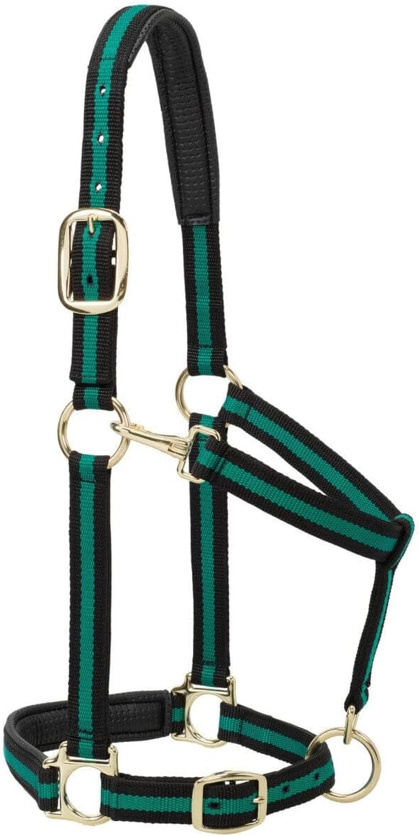 Weaver Leather Nylon Horse Halter, Padded and Adjustable, Chin and Throat Snap Hook Halters for Horses, Brass Plated Halters for Training
