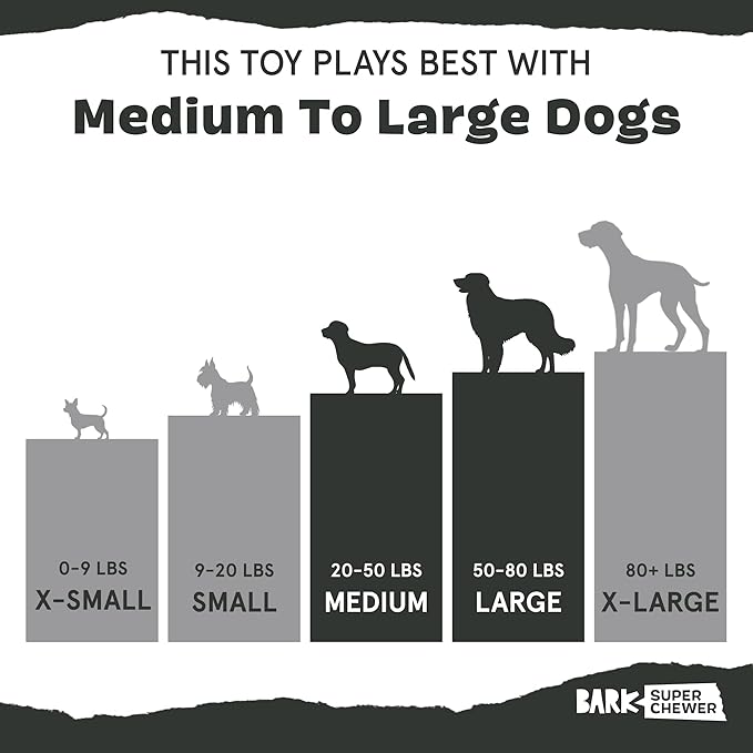 Barkbox Hatch Me If You Can Dog Toy for Medium to Large Aggressive Chewers Two-Layer Tearable Toy with Hidden Surprise Inside for Interactive Playtime