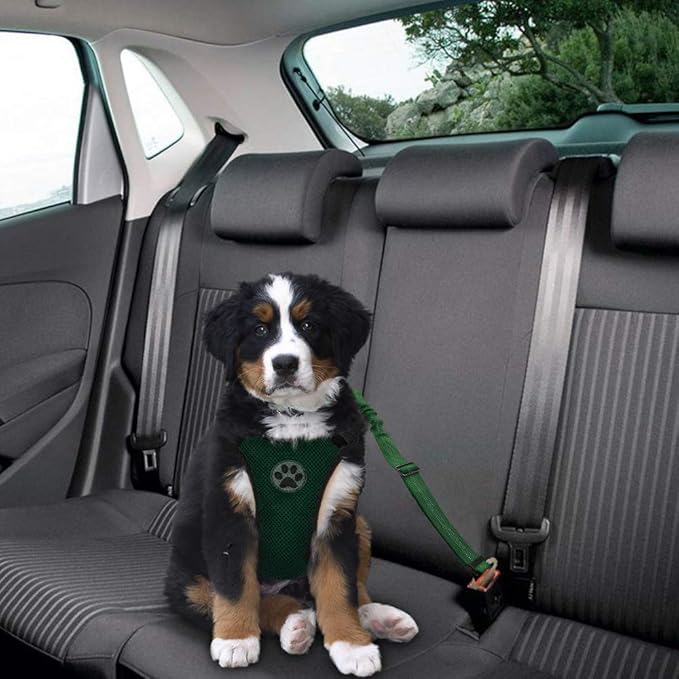 Lukovee Dog Seat Belt - Adjustable Dog Car Harness for Large, Medium & Small Dogs, Soft Padded & Breathable Mesh Dog Seatbelt with Vehicle Connector Strap (Green, Medium)