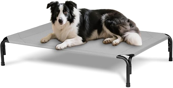 Elevated Dog Bed for Outdoor, Large Raised Dogs Cot for Training, Cooling Pet Beds with Washable Mesh, Indestructible Lifted Platform for Outside Camping, 41 inch Grey