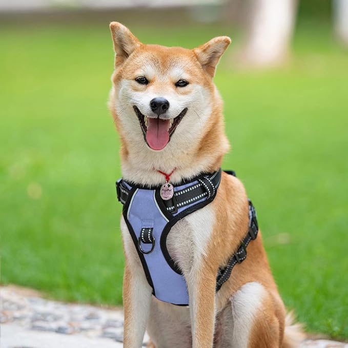 PoyPet No Pull Dog Harness, Reflective Comfortable Vest Harness with Front & Back 2 Leash Attachments and Easy Control Handle Adjustable Soft Padded Pet Vest for Small to Large Dogs (Light Blue,L)