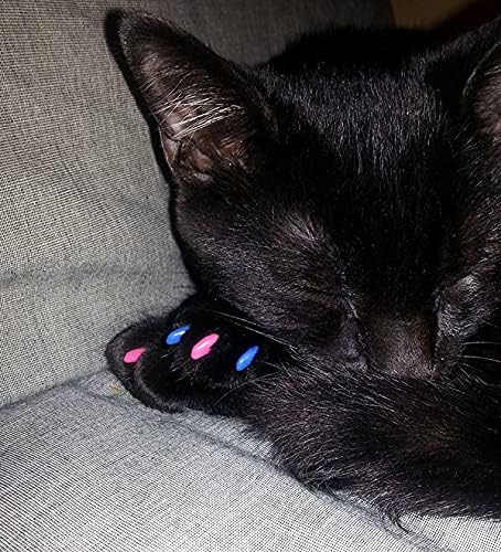 40 Pack Soft Nail Caps for Cat Claws Soft Pink Large