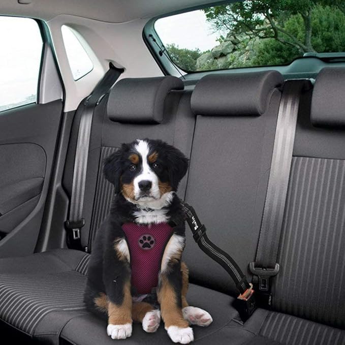 SlowTon Dog Seat Belt Harness for Car, Dog Car Harness Adjustable Mesh Breathable & Dog Seatbelt Safety Tether with Elastic Bungee for Small Medium Large Pets(Burgundy, Single Clip, L)