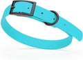 Dogline Biothane Waterproof Dog Collar Strong Coated Nylon Webbing with Black Hardware Odor- Proof for Easy Care Easy to Clean High Performance Fits Small Medium or Large Dogs, Sky Blue
