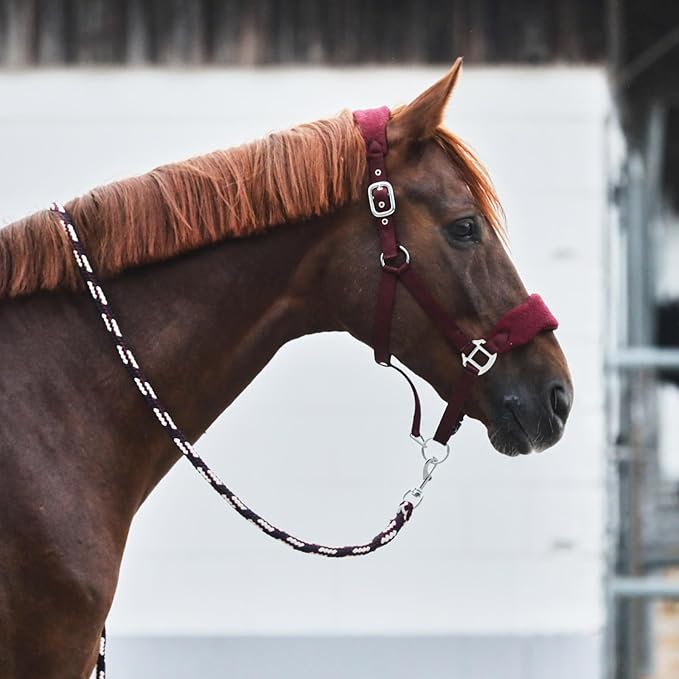 HORZE Kiel Adjustable Horse Halter with Fleece Padding - Dark Red - Warmblood