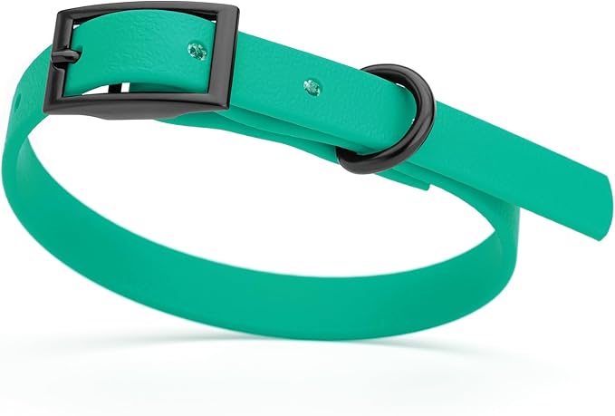 Dogline Biothane Waterproof Dog Collar Strong Coated Nylon Webbing with Black Hardware Odor- Proof for Easy Care Easy to Clean High Performance Fits Small Medium or Large Dogs, Teal