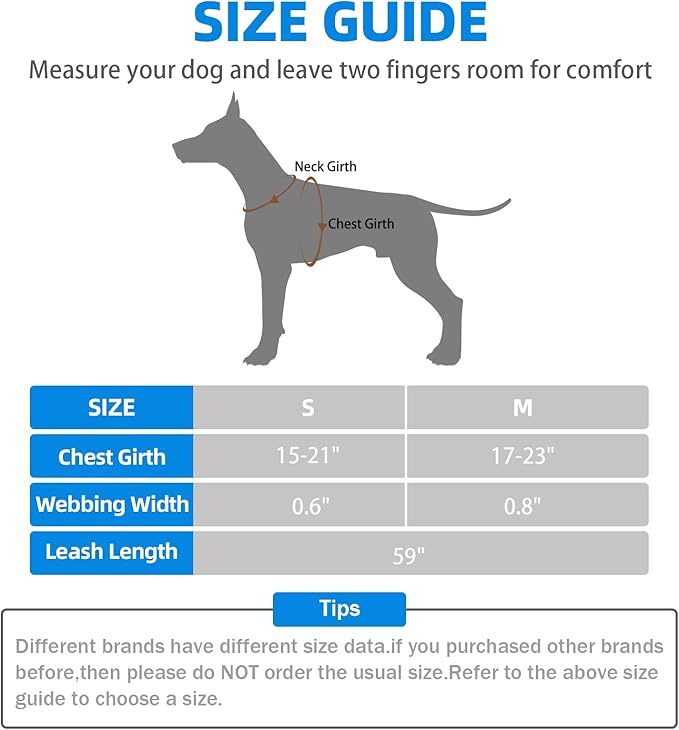 PUPTECK No Pull Dog Harness Soft Adjustable Basic Nylon Step in Puppy Vest Outdoor Walking with Leash